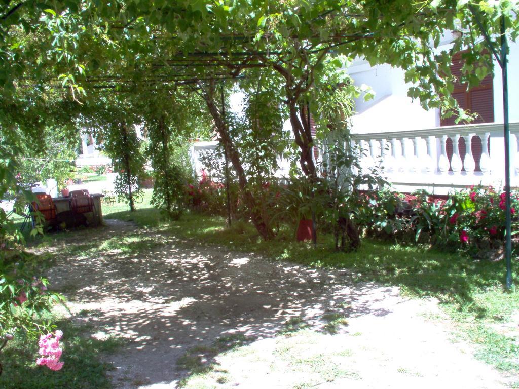 Alexandros Studios Mesongí Cameră foto